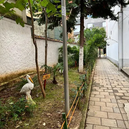 Flat 86 - Explore The Heart Of Tirana